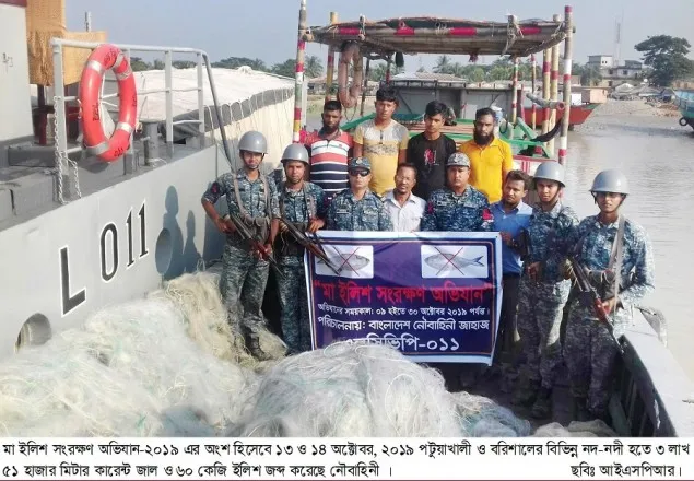বরিশাল ও পটুয়াখালীর নদ-নদী থেকে ৬০ কেজি ইলিশ জব্দ 