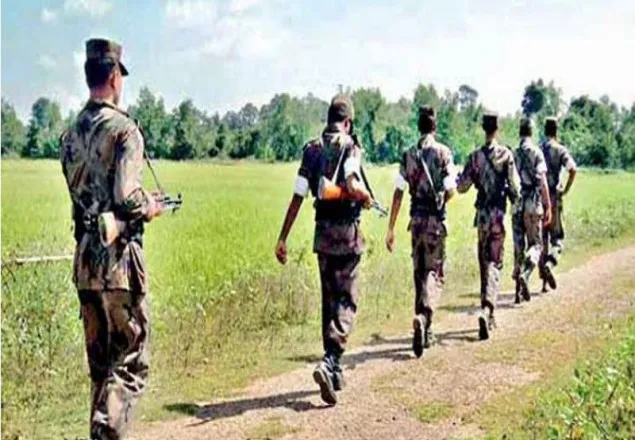 পদ্মায় ইলিশ শিকার নিয়ে বিজিবি-বিএসএফ গোলাগুলি