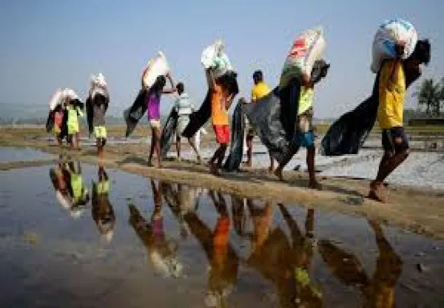 শীতের আগেই ভাসানচরে যাচ্ছে এক লাখ রোহিঙ্গা