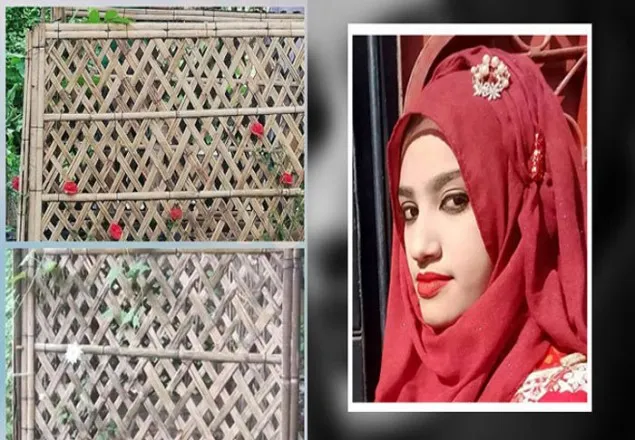  রায়ের দিনে নুসরাতের কবরে ফুটন্ত গোলাপ!