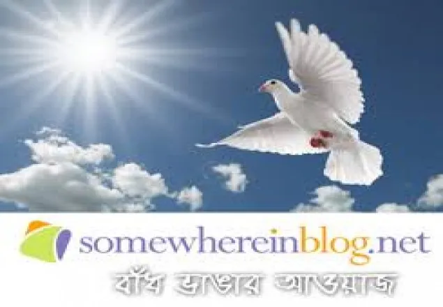  খুলে দেয়া হল সামহোয়্যার ইন ব্লগ