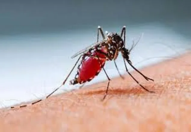 খুলনায় ডেঙ্গুতে বৃদ্ধের মৃত্যু
