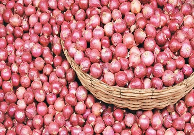 কোনোভাবেই পেঁয়াজের ঝাঁজ নিয়ন্ত্রণ করা যাচ্ছে না!