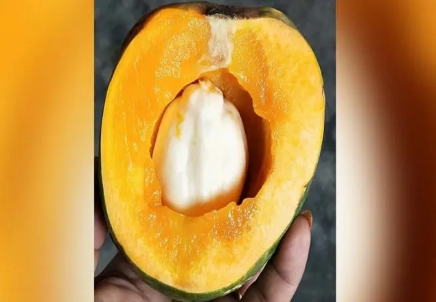 পেঁপের পেটে পেঁপের জন্ম !