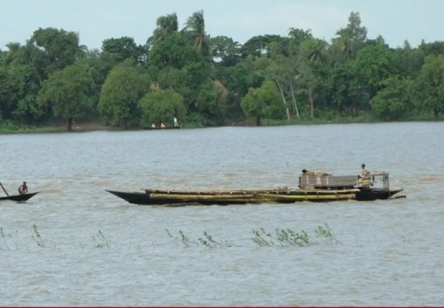 বিলে বিদ্যুৎস্পৃষ্টে চাচা-ভাতিজা নিহত