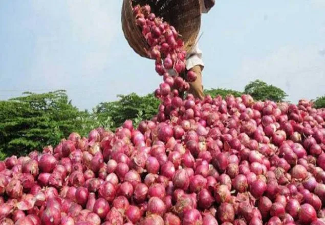 বেড়েই চলেছে পেঁয়াজের দাম, প্রতি কেজি ১৫০ টাকা!
