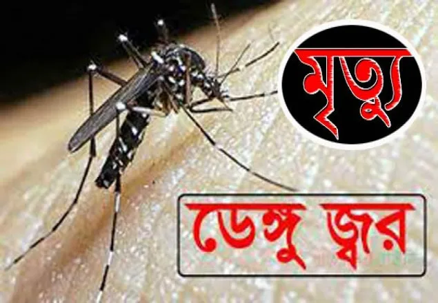 খুমেকে ডেঙ্গুতে নারীর মৃত্যু