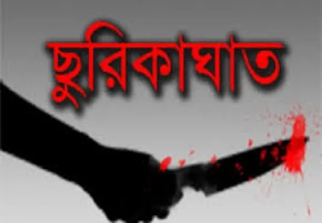 ডেমরায় ছোট ভাইয়ের ছুরিকাঘাতে বড় ভাই খুন