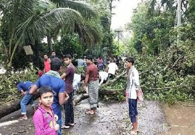ঘূর্ণিঝড় ‘বুলবুল’: তিন জেলায় ৪ জন নিহত 