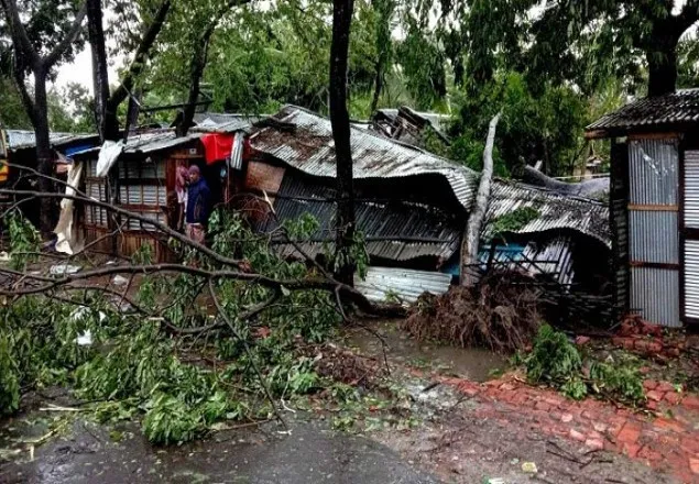 ঘূর্ণিঝড় বুলবুলে বিভিন্ন জেলায় প্রাণ গেল ১১ জনের