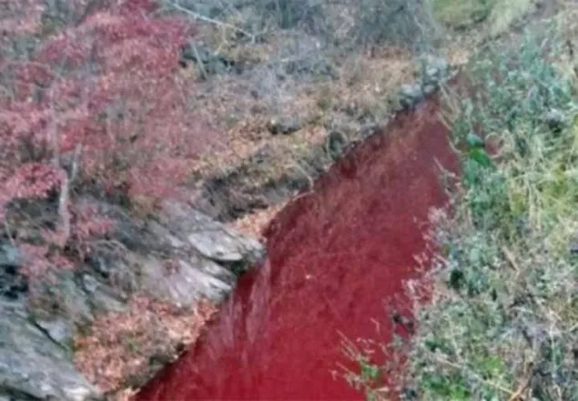 লাল হয়ে গেছে দক্ষিণ কোরিয়ার ইমজিন নদীর পানি