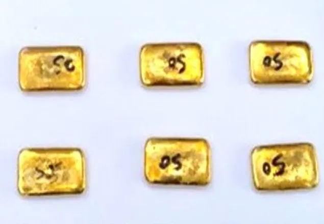 ৩৩ লাখ ৬০ হাজার টাকার স্বর্ণের বারসহ নারী আটক