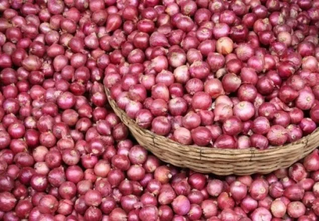 মিসর-চীনের পেঁয়াজ চট্টগ্রামে পৌঁছেছে