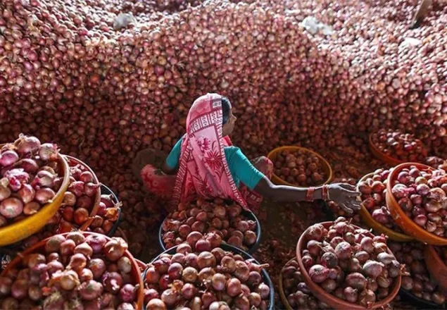 পেঁয়াজের কেজি ৫৫ টাকার বেশি হলেই জরিমানা