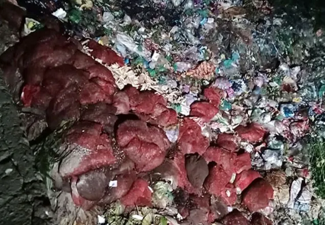 কুমিল্লায় ময়লার স্তূপে বস্তা বস্তা পচা পেঁয়াজ