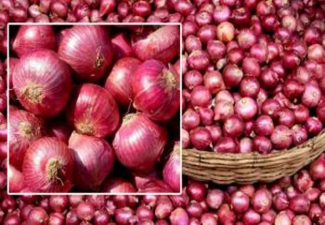 কাল বাজারে ‌আসবে বিমানে আসা পেঁয়াজ