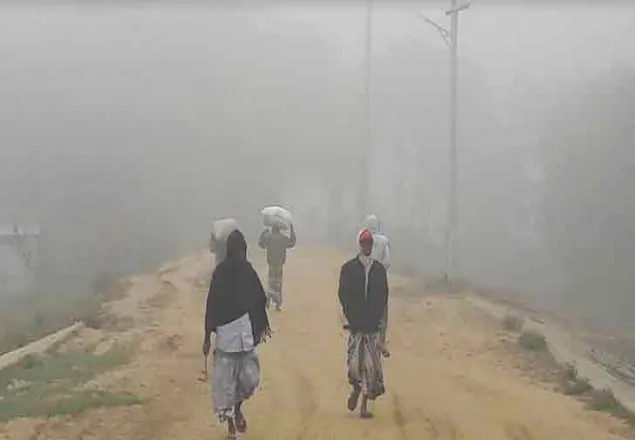 তেঁতুলিয়ায় আজ দেশের সর্বনিম্ন তাপমাত্রা