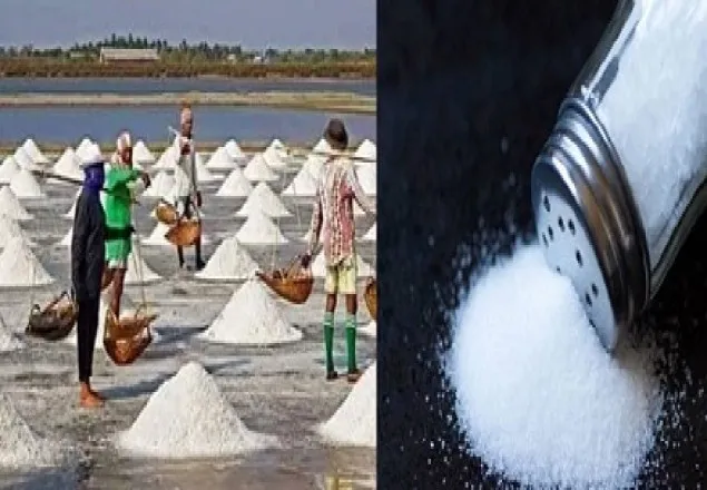 কাঁচা লবণ লিভার ও কিডনির জন্য মারাত্মক ক্ষতি কর