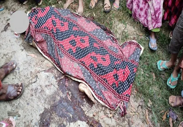 বেনাপোলে সড়ক দুর্ঘটনায় পথচারী নিহত