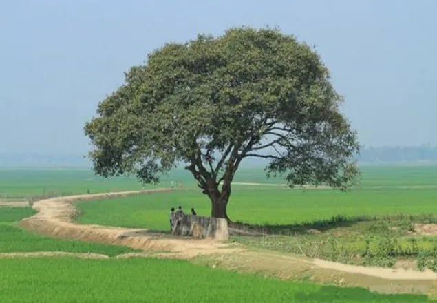 আজ তাপমাত্রা অপরিবর্তিত থাকবে