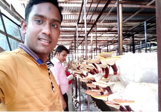 মাশরুম চাষ করে প্রতিবন্ধী বাবুল কোটিপতি