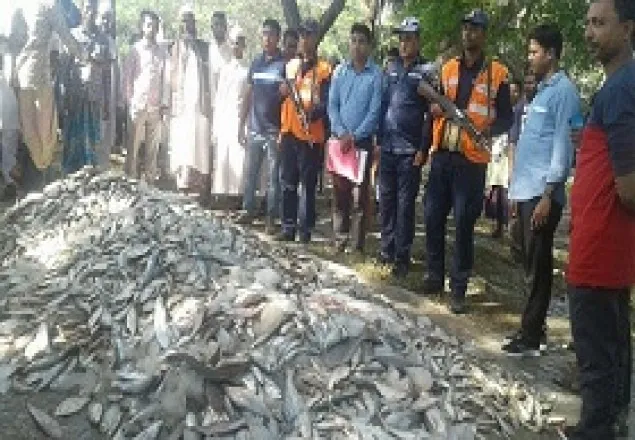 ভোলায় কোষ্টগার্ডের অভিযানে ২০ মন জাটকাসহ ট্রলার জব্দ