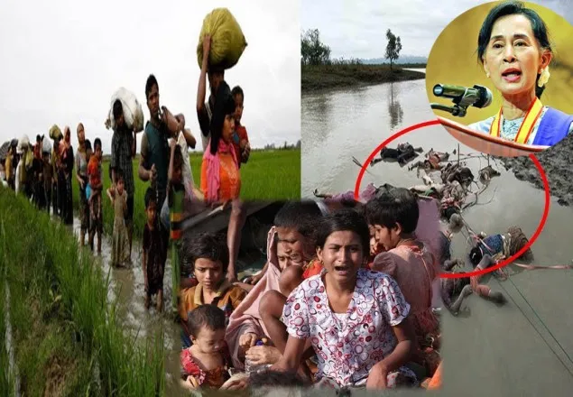 ‘সু চির জন্য দোয়া করতাম, কিন্তু তিনি আজ গণহত্যার প্রতীক’