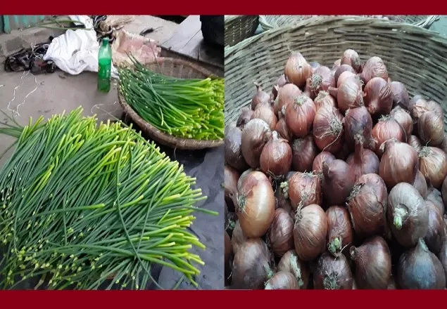 মাগুরায় কমছে না পেঁয়াজের দাম!