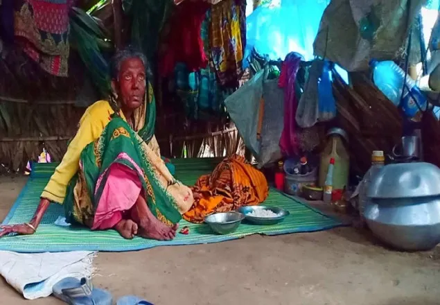 পান্তা ভাত খেয়ে গোয়ালঘরে জীবন কাটছে বৃদ্ধা নূরজাহানের