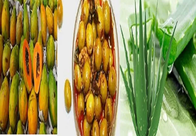 পুষ্টিগুণে টাইটুম্বুর ছয় খাবার