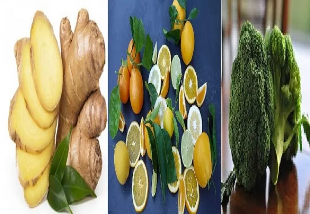 শীতে রোগ প্রতিরোধ ক্ষমতা বাড়াবে যে খাবার
