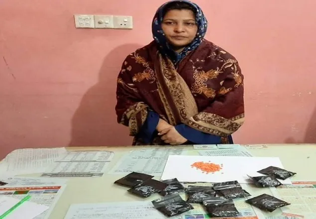 ২ হাজার ইয়াবাসহ নারী ইউপি সদস্য আটক