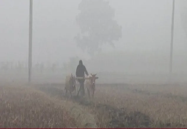 পঞ্চগড়ে আজকের তামপাত্রা ৫.৪ ডিগ্রি 