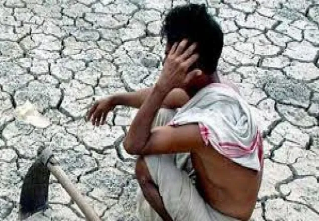 মহারাষ্ট্রে এক মাসে ৩০০ কৃষকের আত্মহত্যা
