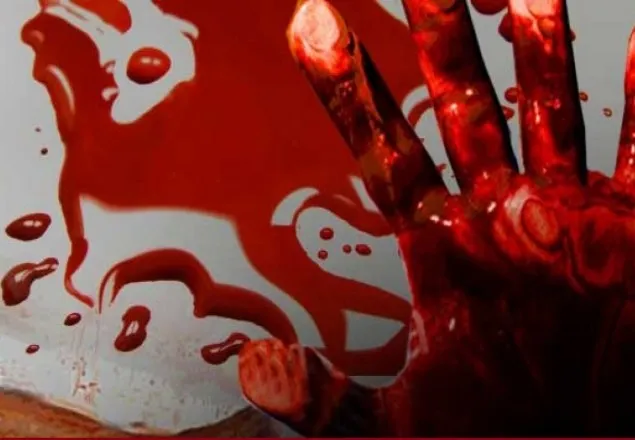 নিজ বাড়িতে মা ও ছেলেকে ছুরিকাঘাতে হত্যা