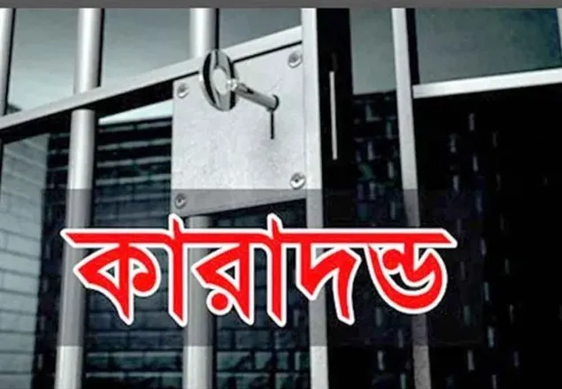 মাগুরায়  ভুল অস্তপাচারের অভিযোগ চিকিৎসকের কারাদন্ড