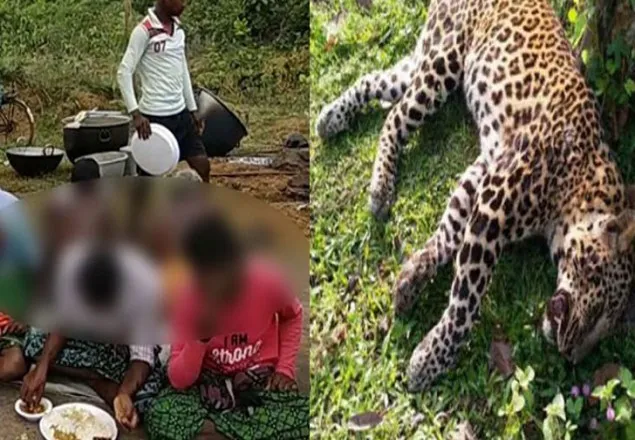 বাঘের মাংস খেয়ে পিকনিকে মজলেন গ্রামবাসীরা