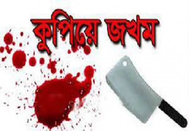 জমি নিয়ে বিরোধ, ঘরে ঢুকে ৬ জনকে কুপিয়ে জখম