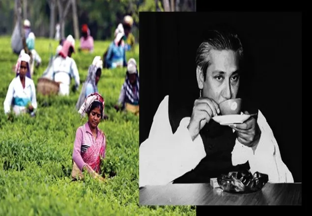 চা বোর্ডের প্রথম বাঙালি চেয়ারম্যান বঙ্গবন্ধু   