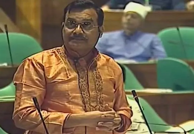 নির্বাচনের নামে প্রহসনের প্রয়োজন নেই: হারুন