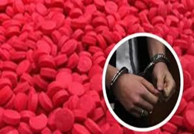 টেকনাফে ৭৯৫০০ পিস ইয়াবা জব্দ, আটক ২ 