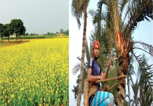 শীতের সকালে গ্রামের স্মৃতি কথা 
