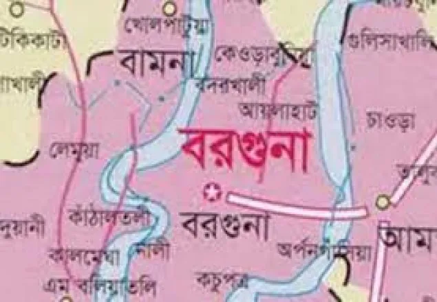 বরগুনায় বাসচাপায় মা-ছেলেসহ তিনজন নিহত
