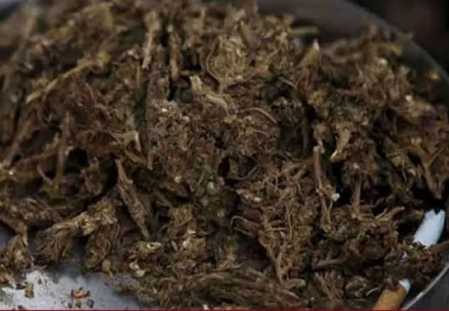 কুষ্টিয়ার সীমান্তে ভারতীয় গাঁজাসহ ২ যুবক আটক