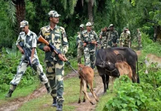 সীমান্ত থেকে ৫ বাংলাদেশিকে ধরে নিয়ে গেছে বিএসএফ
