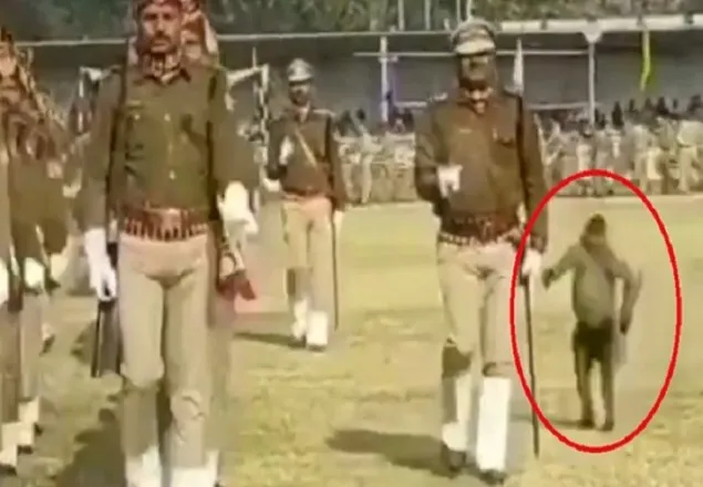 হনুমানের লাথিতে ভারতীয় পুলিশ মুখ থুবড়ে পড়ে
