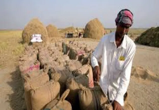 আমন সংগ্রহের লক্ষ্য পূরণ নিয়ে সংশয়