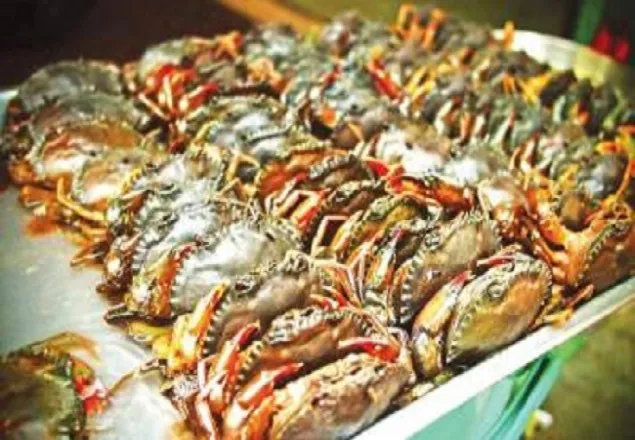 সাতক্ষীরার কুঁচিয়া-কাঁকড়ায় করোনার আঘাত