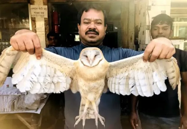 খাবারের সন্ধানে যশোরের হোটেলে লক্ষ্মীপ্যাঁচা
