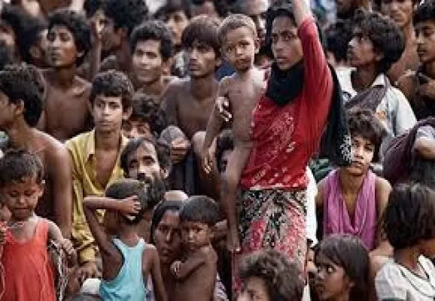 রোহিঙ্গাদেরকে সৌদি দিচ্ছে ৪০ হাজার কার্টুন মাংস